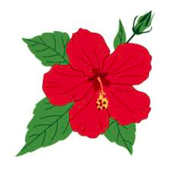 截屏2025-07-12 02.40.33.png